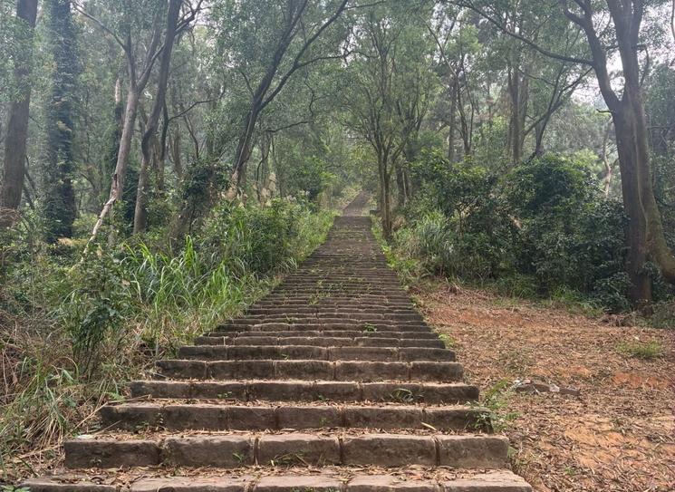 visite vietnam que faire