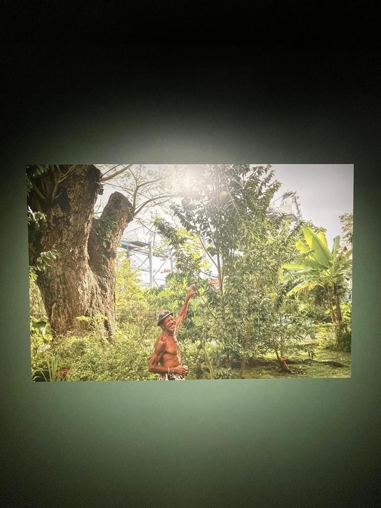 Photographie exposée au Musée du Canal, dans le cadre de l'exposition "El Jardin de Mr.Borwn". Mars 2026, Panama City.
