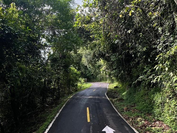 Chemin Cerro Ancon