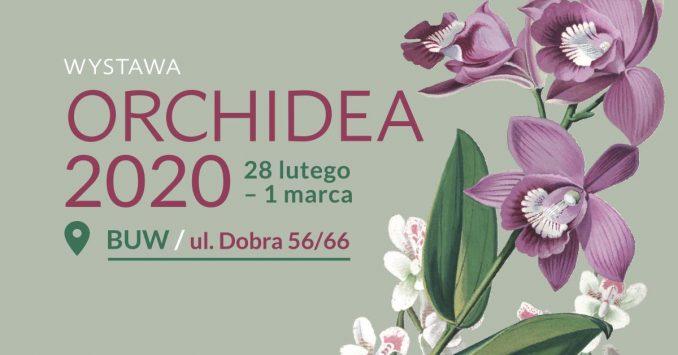 Exposition Orchidées