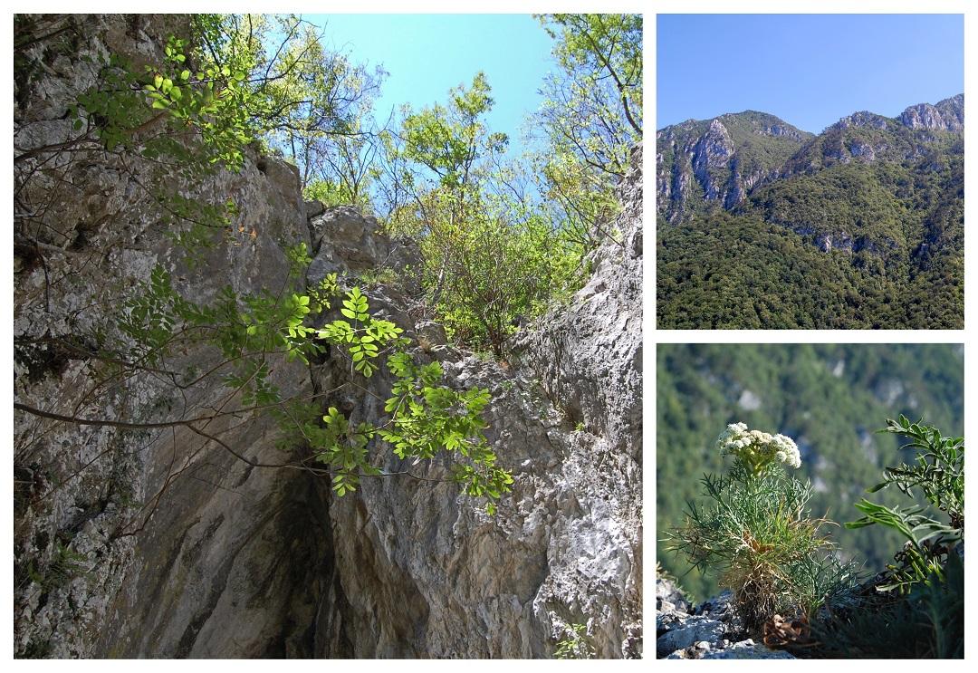 Le Parc National Domogled-La Vallée de Cerna