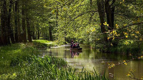 Canaux de la spreewald