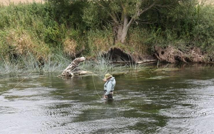 pêcheur à la mouche