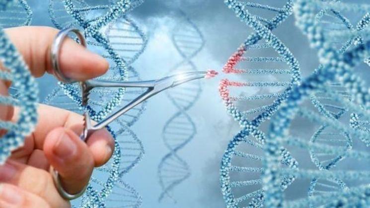 clonage humain chine