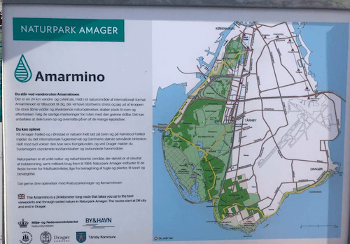 amarmino chemin