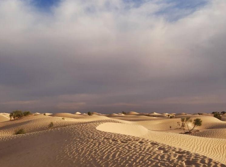 amel ghroum interview expo tunisie dunes desert_0.jpeg (203.82 Ko