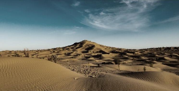 amel ghroum interview expo tunisie paysage desert.jpg (170.27 Ko)