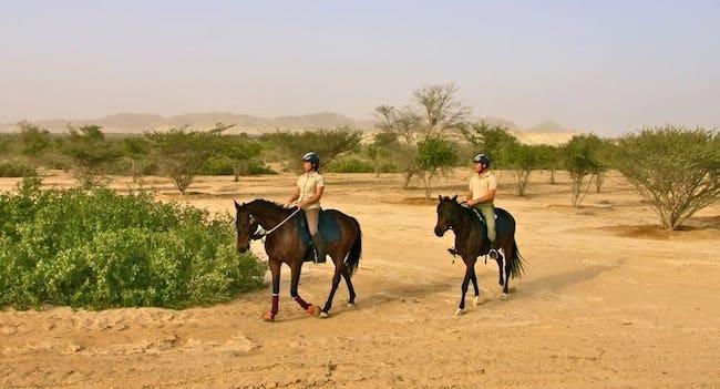 equitation Dubai