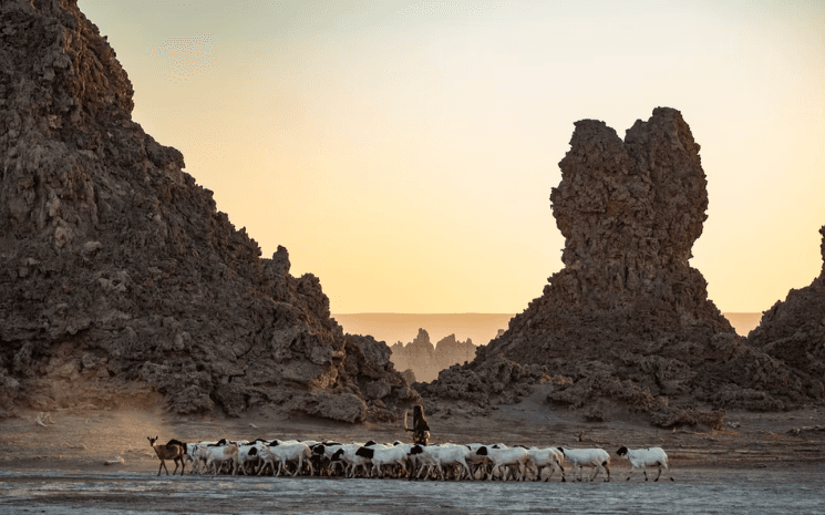 Lac Abbe à Djibouti