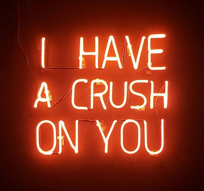 lumières de néon orange avec l'inscription I have a crush on you