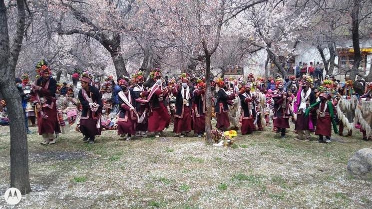 Apricot Blossom Festival