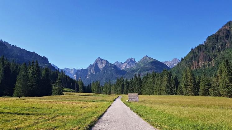 Vallée en montagne