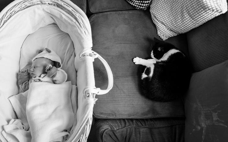 Aurelie Lenoir Photography - Photo de bébé