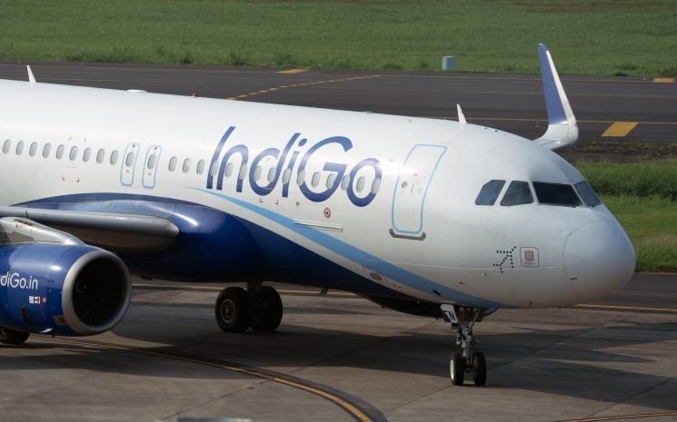 Un avion de la compagnie indienne Indigo