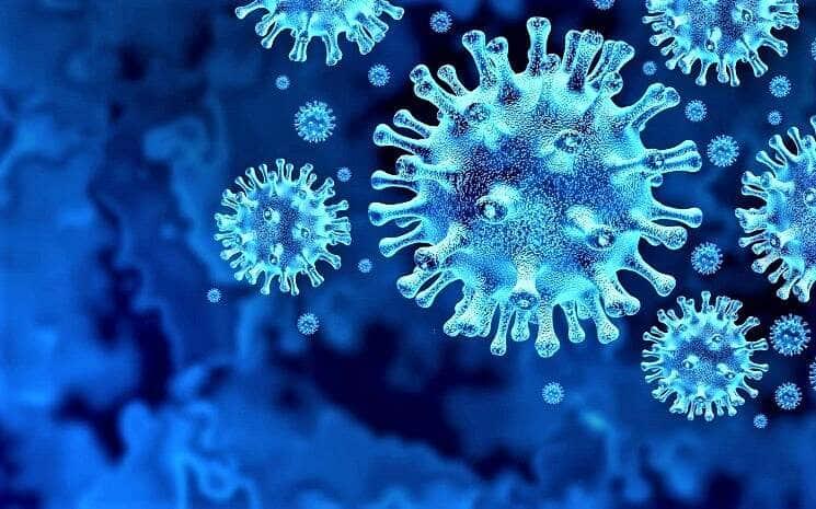 Découvertes sur Sars-Cov-2 coronavirus