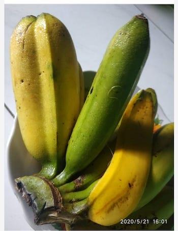 superstition autour de la grossesse en Indonesie