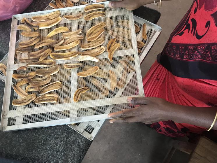 encas taste of nature india inde valérie pasquier