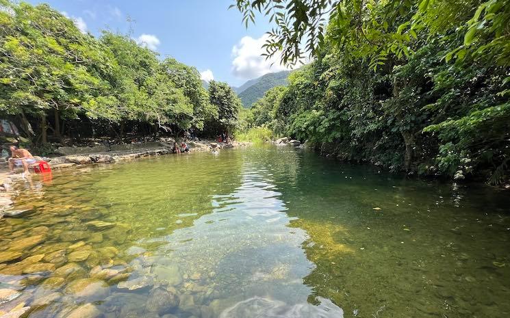 Piscine Dragon Jaune
