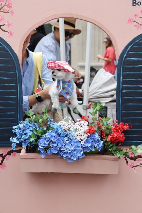 Bastille Day à New York