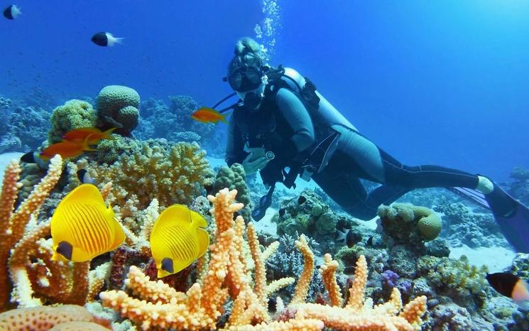 fred fougea série Grèce