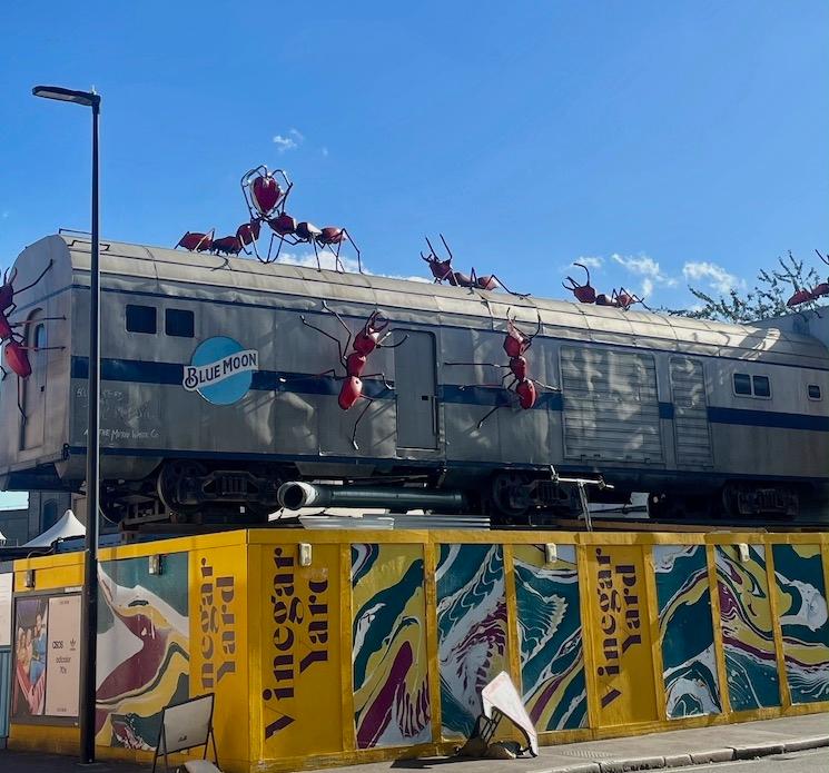 Vinegar Yard (crédit : Delphine Gourgues)