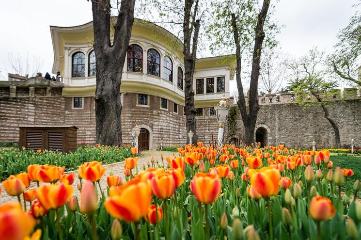 bibliothèque istanbul
