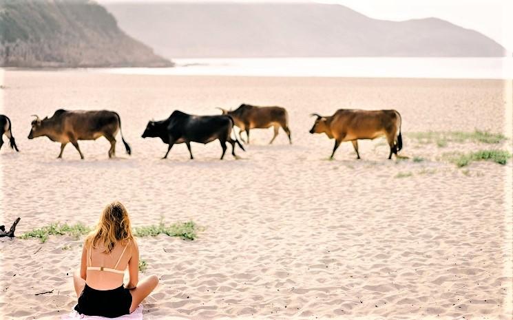 Voyage virtuel Hong Kong