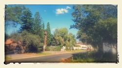 quartier, bons plans, résidents, johannesburg, morningside