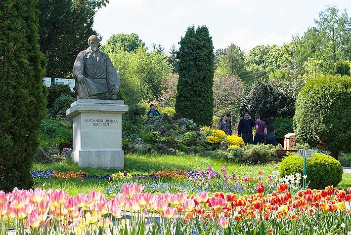 jardin-botanique-cluj