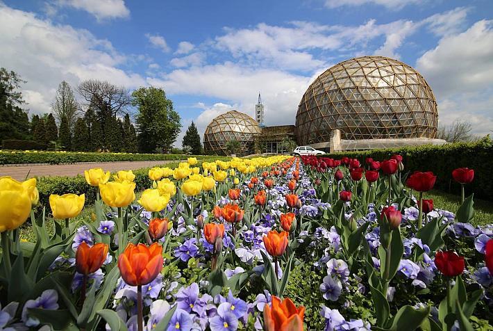 jardin-botanique-jibou