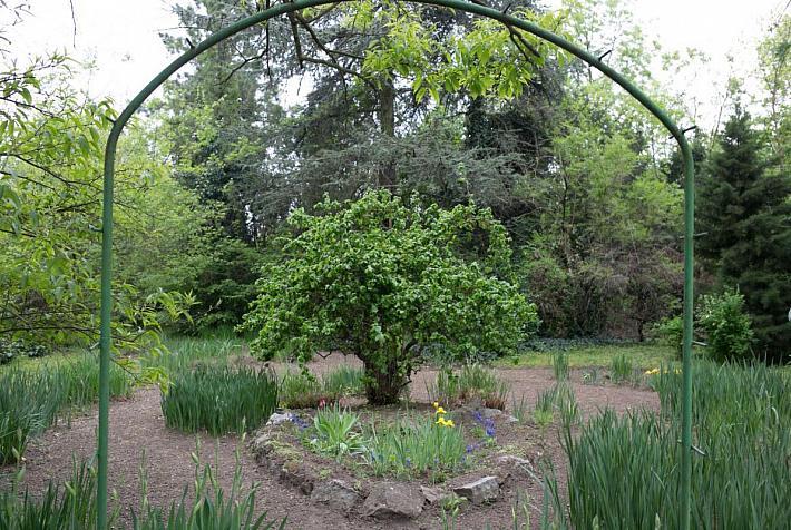jardin-botanique-macea-roumanie