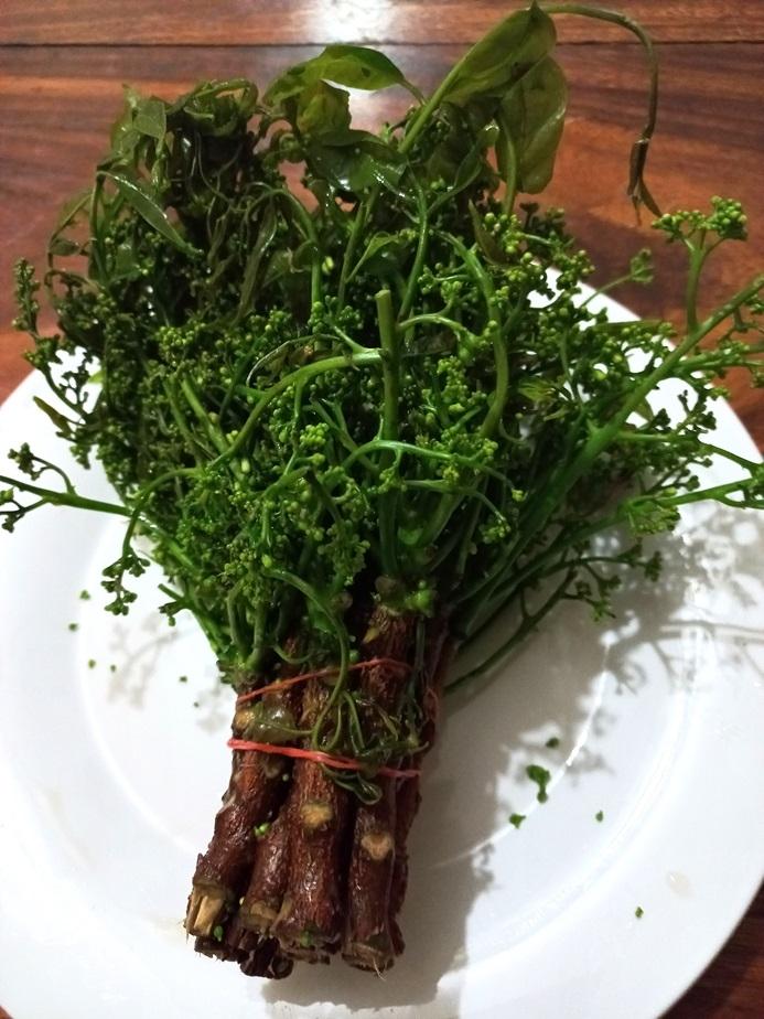 Botte de feuilles et d’inflorescences de margousier (Photographie : Pascal Médeville)