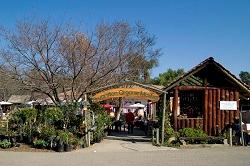 quartier, johannesburg, logement, résidents, français, bryanston