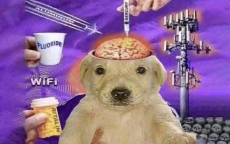 affiche expo caca banal