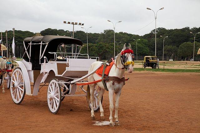 Une calèche devant le palais de Bangalore