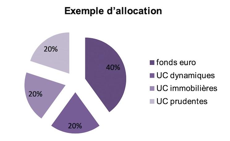 camenbert allocation logement