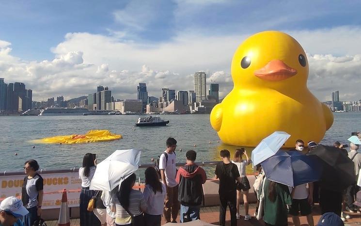 canard degonfle hong kong
