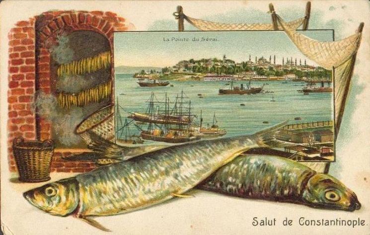 Carte postale ottomane colorisée représentant Constantinople avec des poissons du Bosphore au début du XXe siècle