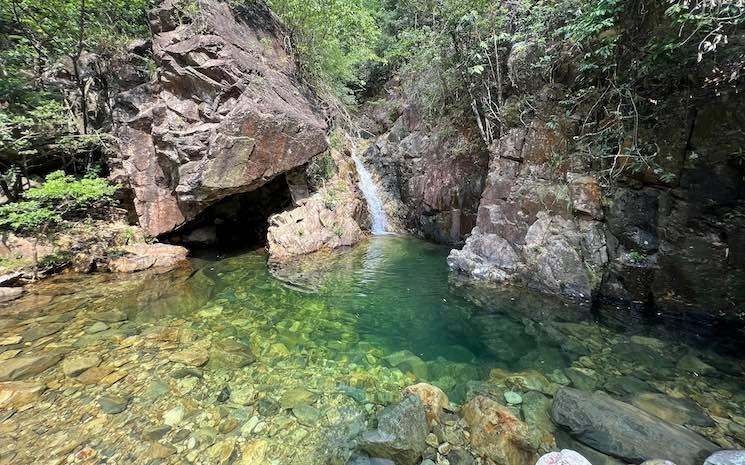 Bassin Falaise dragon jaune