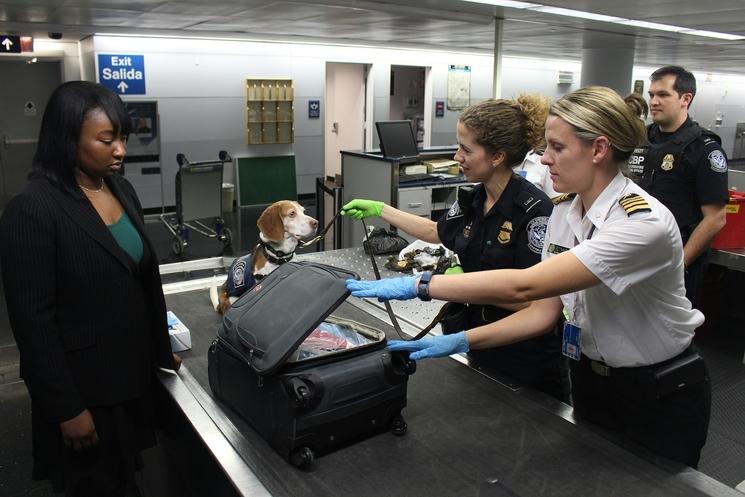 runway security airport