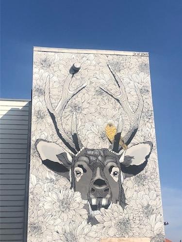 Mural cerf Nordvest