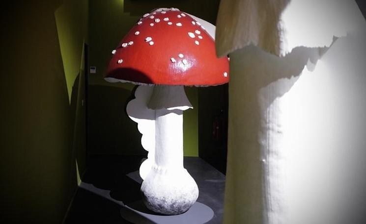 champignon rouge et blanc géant