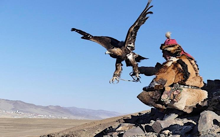 chasse aigle mongolie