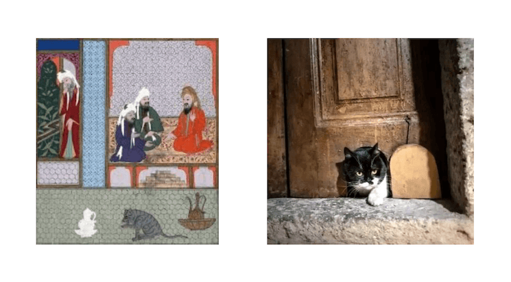 Représentation de chats dans l’art ottoman et chat des rues en Turquie, témoins d’une présence ancienne dans la culture turque