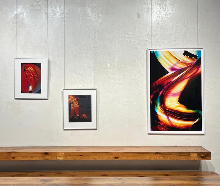 Photo exposition Enchanting Colour