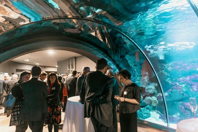 aquarium milan coctail CCIFI