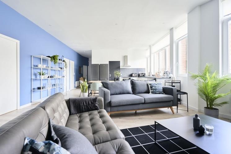 investissement immobilier