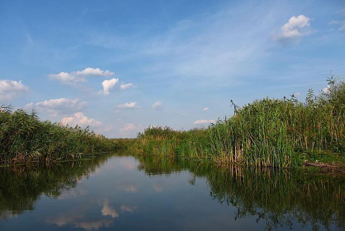 comana-roumanie-parc