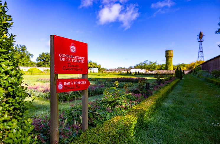 Au château de la Bourdesière se trouve le Conservatoire national de la Tomate