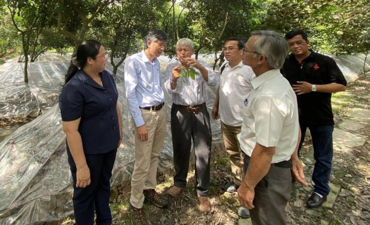Cooperative de production des Ramboutans de Vinh Long